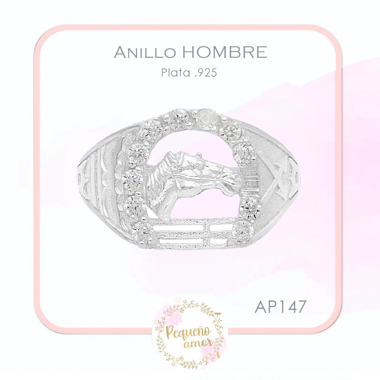 Anillo plata .925 Hombre Ap147